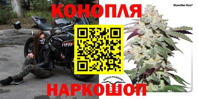 спиды Кунгур