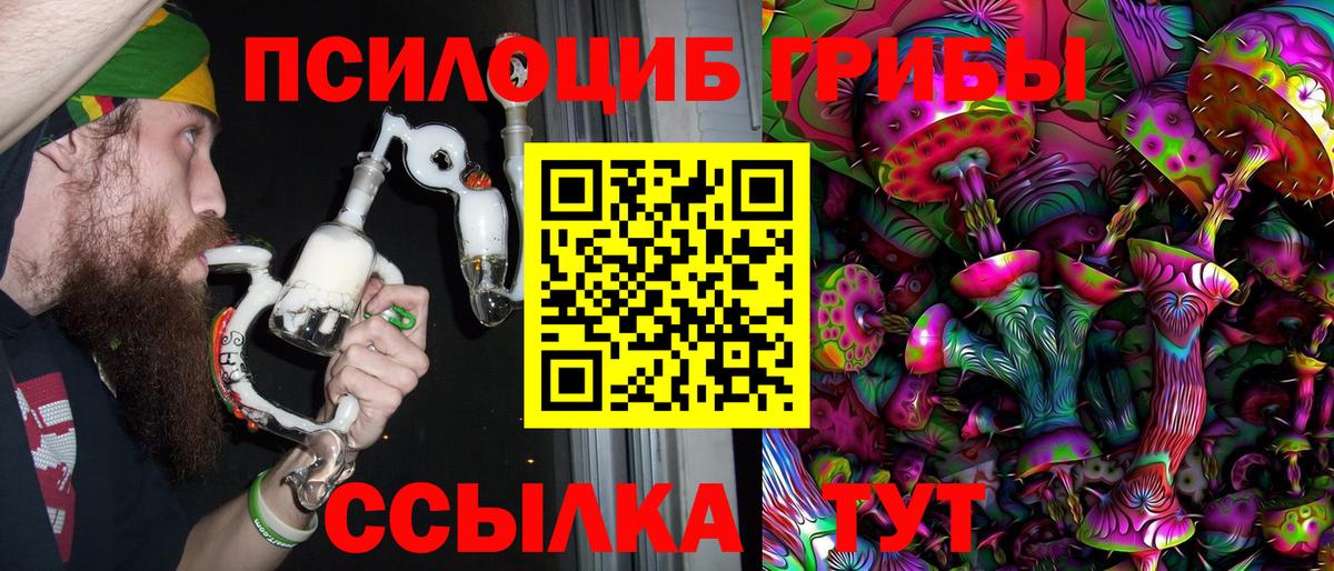 Электросталь  Галлюциногенные грибы Magic Shrooms  купить  цена  Вход с VPN 